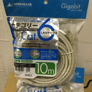 LAN ケーブル 10m