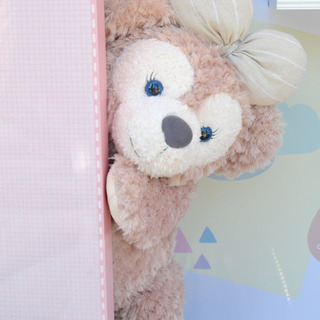 11月3日にディズニーシー行ける方💌