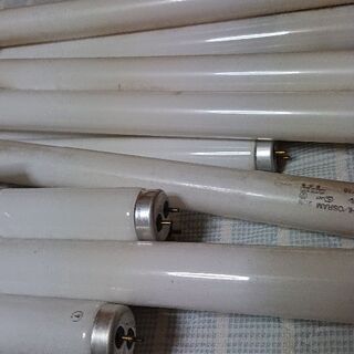 60cm水槽用 蛍光灯 20W 一本(中古 熱帯魚 アクアリウム)