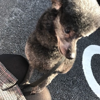 ジム友募集☆