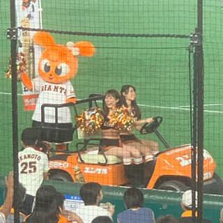 クライマックス観戦 - 葛飾区