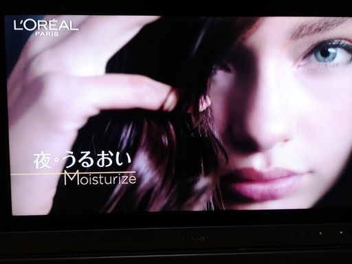 シャープ AQUOS 22型液晶テレビ ハイビジョン（2004年）