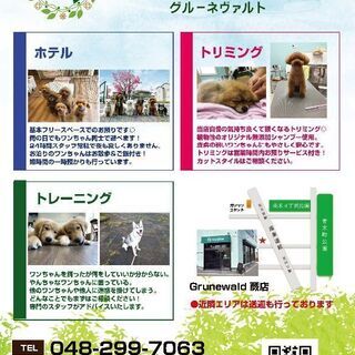 川口市・蕨市・戸田市●ドッグホテル★フリースペースお預かり★お散歩＆ご飯付き★送迎(有料)あり - 川口市