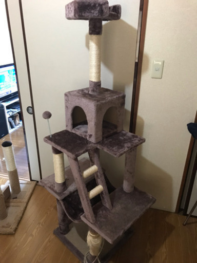 キャットタワー