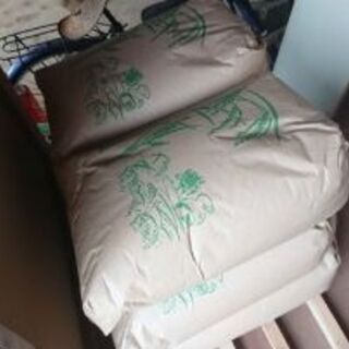 成田発のお米！令和元年産コシヒカリ30kg￥7500 