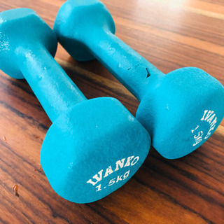 1.5kg 2つ