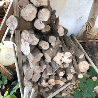 薪(みかんの木)2