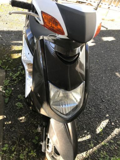 シグナス　se12j 一時受付中止中