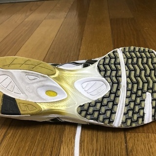 ランニングシューズ マジックエキデン アシックスの画像