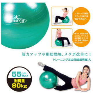 【0円】スランスボール(ヨガボール)直径55cmの画像