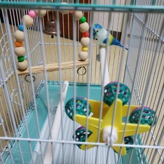 鳥かごの画像