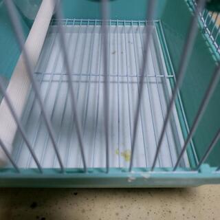 鳥かごの画像