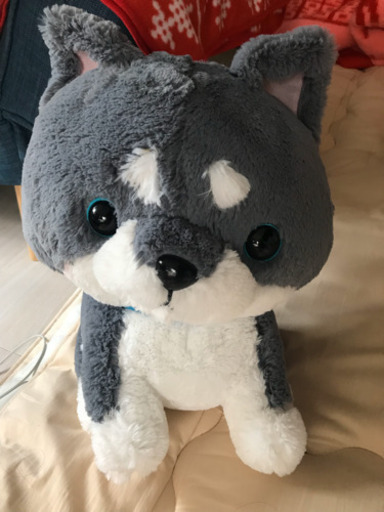 柴犬　犬　ぬいぐるみ