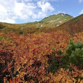 平日の山行いかがです？