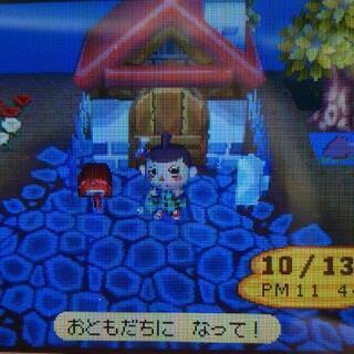 おいでよどうぶつの森 の、通信♪