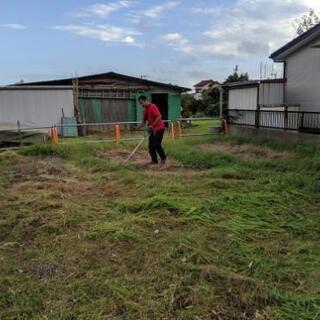 草刈り作業  11/1～の画像