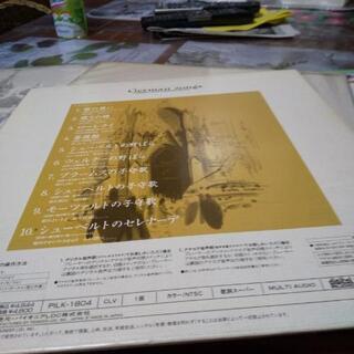 カラオケ用のレーザーディスクです。