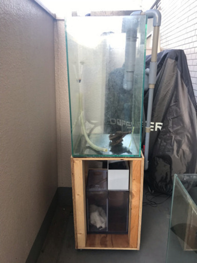 GEX 30キューブ水槽55ハイタイプ セット