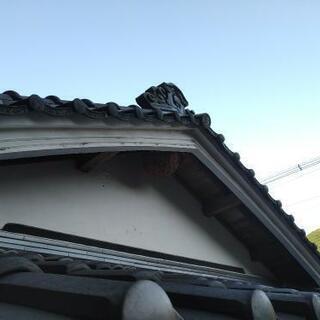 蜂の巣駆除　 − 兵庫県