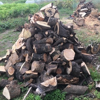 広葉樹の薪の画像