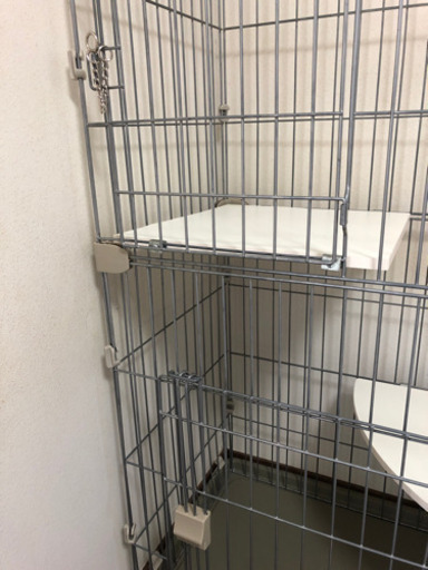 猫用　ゲージ
