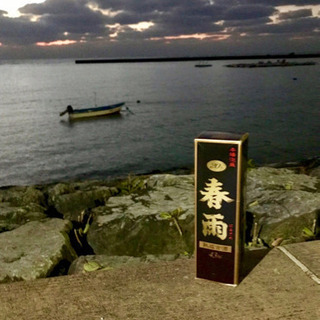 泡盛 春雨 熟成20年古酒