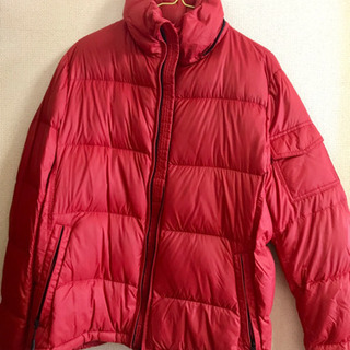 かなりの暖かさ‼️