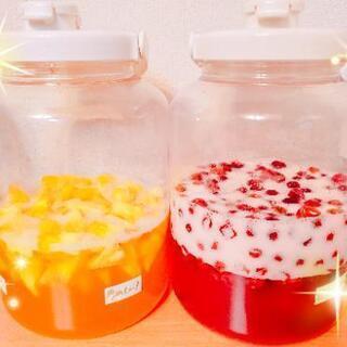 🍊ミネラル入り醗酵ドリンク教室🍊
