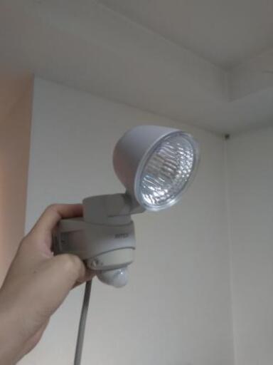 ライテックス LED センサーライト 玄関 倉庫入口等に (近隣配送無料)