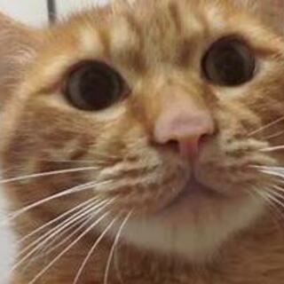 ■おもしろ動画投稿作業の画像