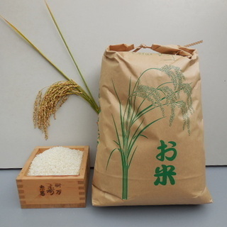 農家直送　混じり気無しの100パーセント令和元年産　静岡コシヒカ...