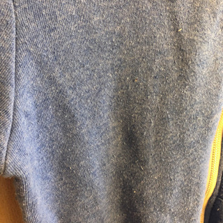 オルタナティブアース　メンズパーカーの画像