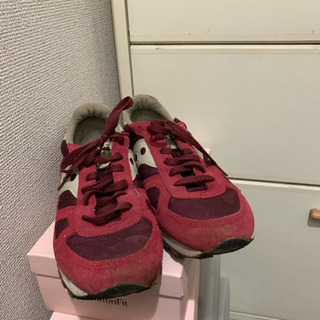 サッカニー