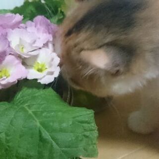 映画好きな人大募集～✴️