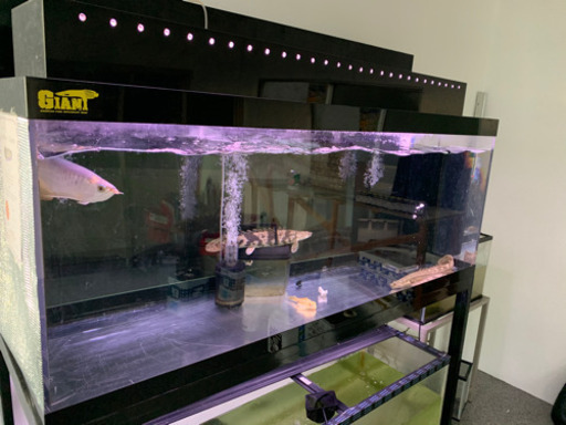 水槽1500センチ　　引き取り限定