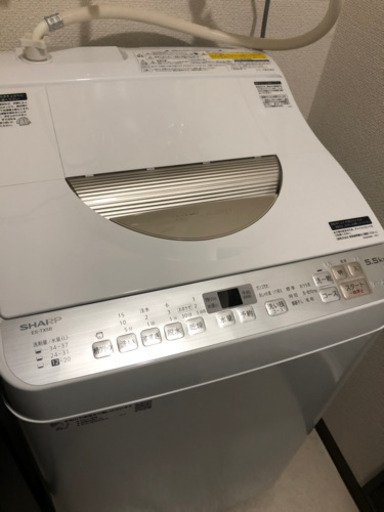 SHARP 洗濯機【美品】 (トマト) 大谷地の生活家電《洗濯機》の中古 