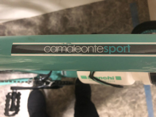 イタリアビアンキ カメレオンテ3 470mm