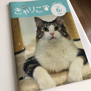 きゃりこ猫カフェカタログ2011年6月号
