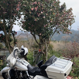 ハーレーダヴィッドソン FLHTCU3 エレクトラグライドウルトラCVOの画像