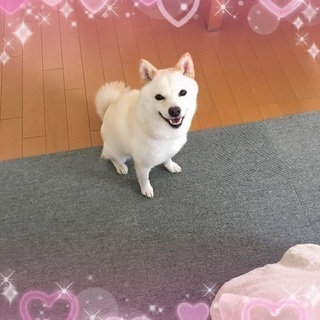 子なし専業主婦の友達募集中！