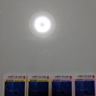 明日まで。お得❣沖縄美ら海水族館　チケットの画像