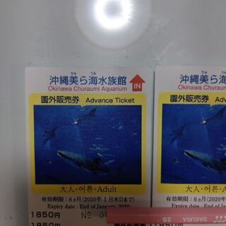 明日まで。お得❣沖縄美ら海水族館　チケット