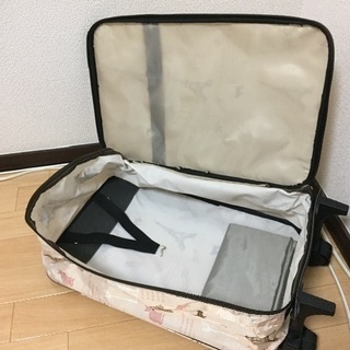 簡易キャリーケースの画像