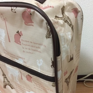 簡易キャリーケースの画像