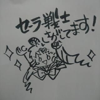 セーラー戦士探してます🌠
