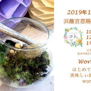 11/2-『秋の苔テラリウム』／浜離宮恩賜庭園・芳梅亭／コト。の画像