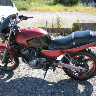 バリオス２５０　渋くカスタム仕様