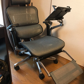 くつろぎやすい 高級椅子 フルオプション Ergohuman PRO(エルゴヒューマンプロ)
