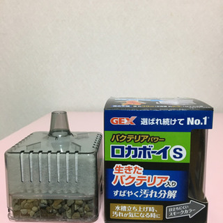 ロカボーイS