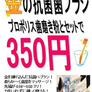 2020/カロリロフェスタ